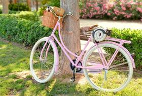 Bicicleta rosa