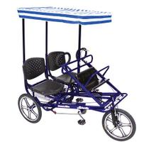 Bicicleta Triciclo Família Carrocela Passeio Azul