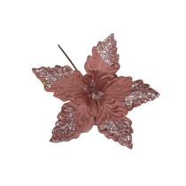 Bico de papagaio Flor de Natal poinsetia natalina 4 und Bico de papagaio Flor de Natal poinsetia natalina 4 und