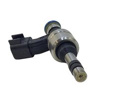 Bico Injeção Direta Captiva 3.0 Camaro 3.6 12634126