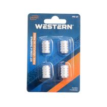 Bico Válvulas Tampa Ar Pneu Biquinho Carro Moto Universal