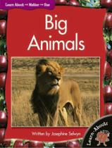 Big animals - MACMILLAN BR BILINGUE