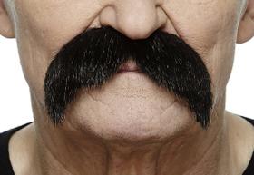 Bigodes Falsos Walrus Black Lustrous para Adultos