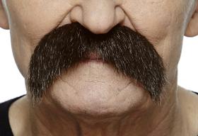 Bigodes falsos Walrus Brown para adultos no Dia das Bruxas