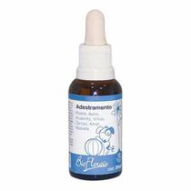 BIO FLORAIS - Adestramento - 31ml