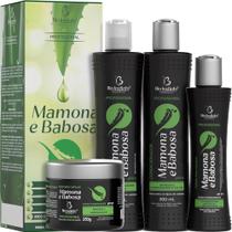 Bio Instinto Mamona e Babosa - Kit Tratamento Hidratação Purificante (4 Produtos)