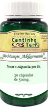 Bio Mamps Akkermansia 50 mg 30 Cápsulas Bio Mamps Akkermansia 50 mg 30 Cápsulas
