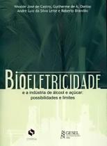 Bioeletricidade: e a indústria de álcool e açúcar: possibilidades e limites Bioeletricidade: e a indústria de álcool e açúcar: possibilidades e limites