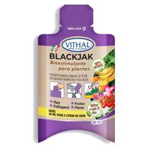 Bioestimulante Para Plantas Natural Blackjak - Vithal