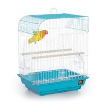 Bird Cage Prevue Hendryx South Beach Flat Top Teal SP50061 Bird Cage Prevue Hendryx South Beach Flat Top Teal SP50061