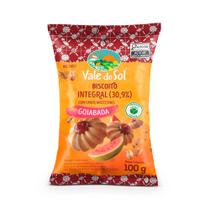 Biscoito Vale do Sol Integral 30,9% Sabor Goiaba 100g