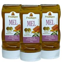 Bisnaga 300g de Mel Flores de Uva Japonesa Kit com 3 Bisnaga 300g de Mel Flores de Uva Japonesa Kit com 3