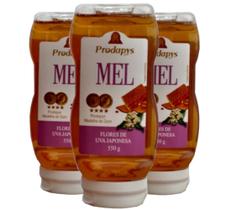 Bisnaga 550g de Mel Flores de Uva Japonesa Kit com 3 Bisnaga 550g de Mel Flores de Uva Japonesa Kit com 3