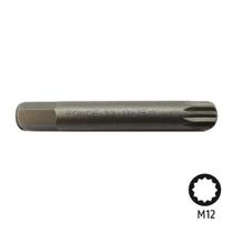 Bit Multidentado M12