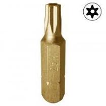 Bit Torx Com Furo Guia T 25H