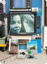 Bjork Vessel DVD Bjork Vessel DVD