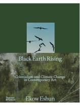 Black earth rising