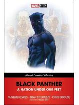 Black panther - a nation under our feet