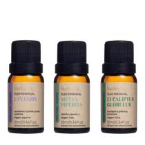 Blend de 3 Óleo Essencial Para Imunidade Respiratória Via Aroma