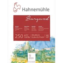 Bloco Aquarela Borgonha 250g Hahnemuhle Textura Rugosa 30x40cm 20 Folhas Bloco Aquarela Borgonha 250g Hahnemuhle Textura Rugosa 30x40cm 20 Folhas