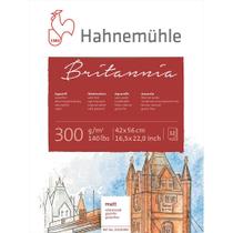 Bloco Aquarela Britannia Hahnemuhle 300 g/m 42x56 12Fls Cold Pressed 10628984
