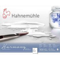 Bloco Aquarela Hahnemuhle Harmony 300G/M2 24X30Cm 12 Folhas