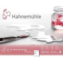 Bloco Aquarela Hahnemuhle Harmony 300G/M2 40X50Cm 12 Folhas