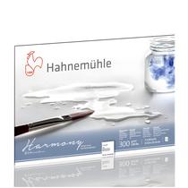 Bloco Aquarela Hahnemühle Harmony 300gr 17,8x25,4cm Textura Rugosa 12 Folhas Bloco Aquarela Hahnemühle Harmony 300gr 17,8x25,4cm Textura Rugosa 12 Folhas