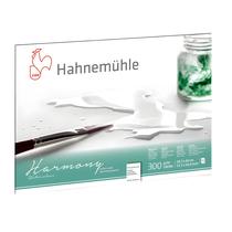 Bloco Aquarela Hahnemühle Harmony 300gr A3 Textura Satinada 12 Folhas