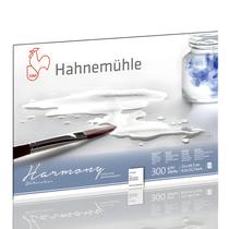 Bloco Aquarela Hahnemühle Harmony 300gr A4 Textura Rugosa 12 Folhas