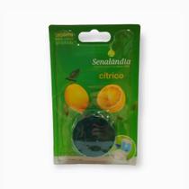 Bloco Caixa Acoplada Cítrico Detergente Sanitário 45g Perfuma Limpa Marca Senalândia - Envio Já Bloco Caixa Acoplada Cítrico Detergente Sanitário 45g Perfuma Limpa Marca Senalândia - Envio Já
