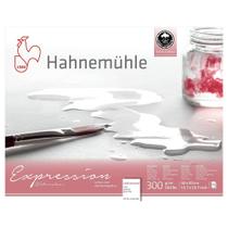 Bloco Hahnemuhle Expression Watercolour Textura Fina 40x50cm 12 Fls Bloco Hahnemuhle Expression Watercolour Textura Fina 40x50cm 12 Fls