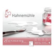 Bloco Hahnemuhle Watecolour Harmony 300 g/m² TF 24 x 30 cm 1