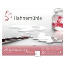 Bloco Hahnemuhle Watecolour Harmony 300 g/m² TF 40 x 50 cm 1