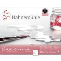 Bloco Hahnemuhle Watercolour Expression 300 g/m² TF 24 x 30 cm 20 Fls