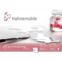 Bloco Hahnemuhle Watercolour Harmony Textura Fina 17,8x25,4cm 12 Folhas