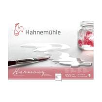 Bloco Harmony Hahnemühle 300g A3 Grano Fino 12 Folhas 10628041