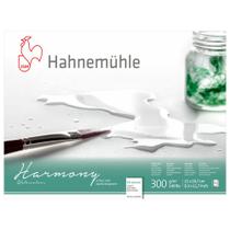 Bloco Harmony Hahnemühle 300g A4 Satinada 12 Folhas