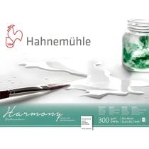 Bloco Harmony Hahnemuhle 300gr Textura Satinada 30x40cm 12fls