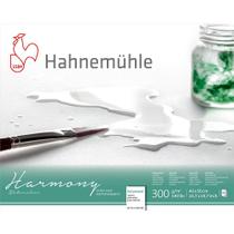 Bloco Harmony Watercolour 40x50cm Hot Pressed 300g/m 12Fls Hahnemuhle 10628766