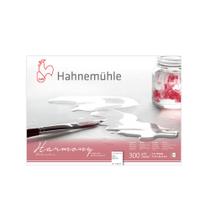 Bloco Papel Harmony Hahnemühle 300g 17,8x25,4cm Grano Fino 10628070