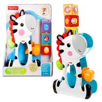 Blocos de Atividades Zebra Fisher Price Cgn63