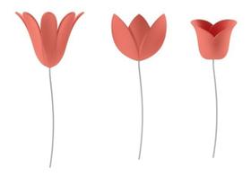 Bloomer Kit Decoração Parede Flor 3d Rosa Coral 9 Pç Umbra