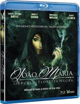 Blu-ray - João, Maria e a Bruxa da Floresta Negra - Vinny