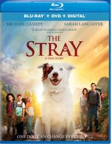 Blu-ray - O Vagabundo (The Stray) - Universal Studios