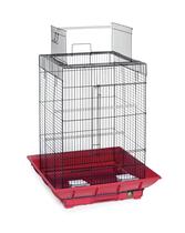Blusa Cage Prevue Hendryx SP851R/B Clean Life Play vermelha/preta