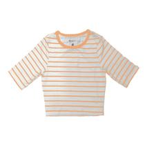 Blusa cropped, basic+, em malha algodão com poliester e elastano, ref r013 na cor listrada marrom m Blusa cropped, basic+, em malha algodão com poliester e elastano, ref r013 na cor listrada marrom m