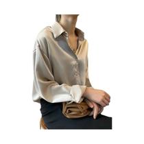 Blusa Feminina Casual de Manga Comprida - Primavera/Outono - Gola Virada Blusa Feminina Casual de Manga Comprida - Primavera/Outono - Gola Virada