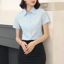 Blusa Feminina De Manga Curta Com Decote Em V 2024 Camisa De Trabalho Sólida Elegante Roupas