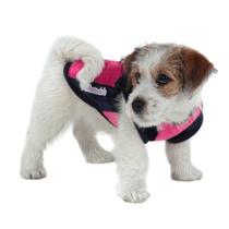 Blusa My Dream Color Rosa Tamanho 10 Pickorruchos